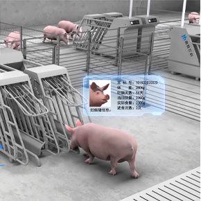 猪场智能设备解决方案